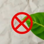 Beneficios del omega 3: ¿por qué es importante incluirlo en tu dieta?