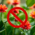 Beneficios emocionales de ayudar a los demás