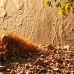 Juegos para niños al aire libre: ¿cuáles son los mejores?