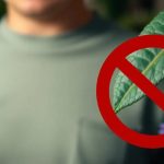 Causas sociales: ¿por qué son importantes y cuál es su impacto sobre las personas?